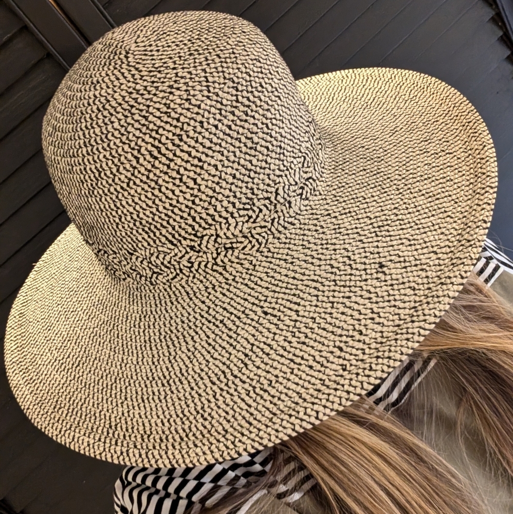 Stylish Black and Tan Wide Brim Hat